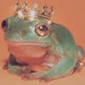 Meet your Posher, Ken